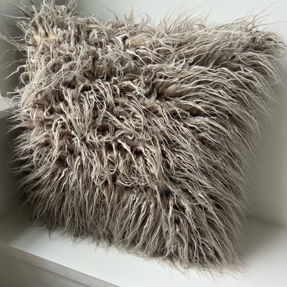 POTTERY BARN Shaggy Faux Fur Throw Pillow with insert